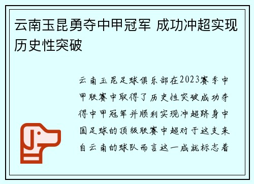 云南玉昆勇夺中甲冠军 成功冲超实现历史性突破 云南玉昆勇夺中甲冠军 成功冲超实现历史性突破